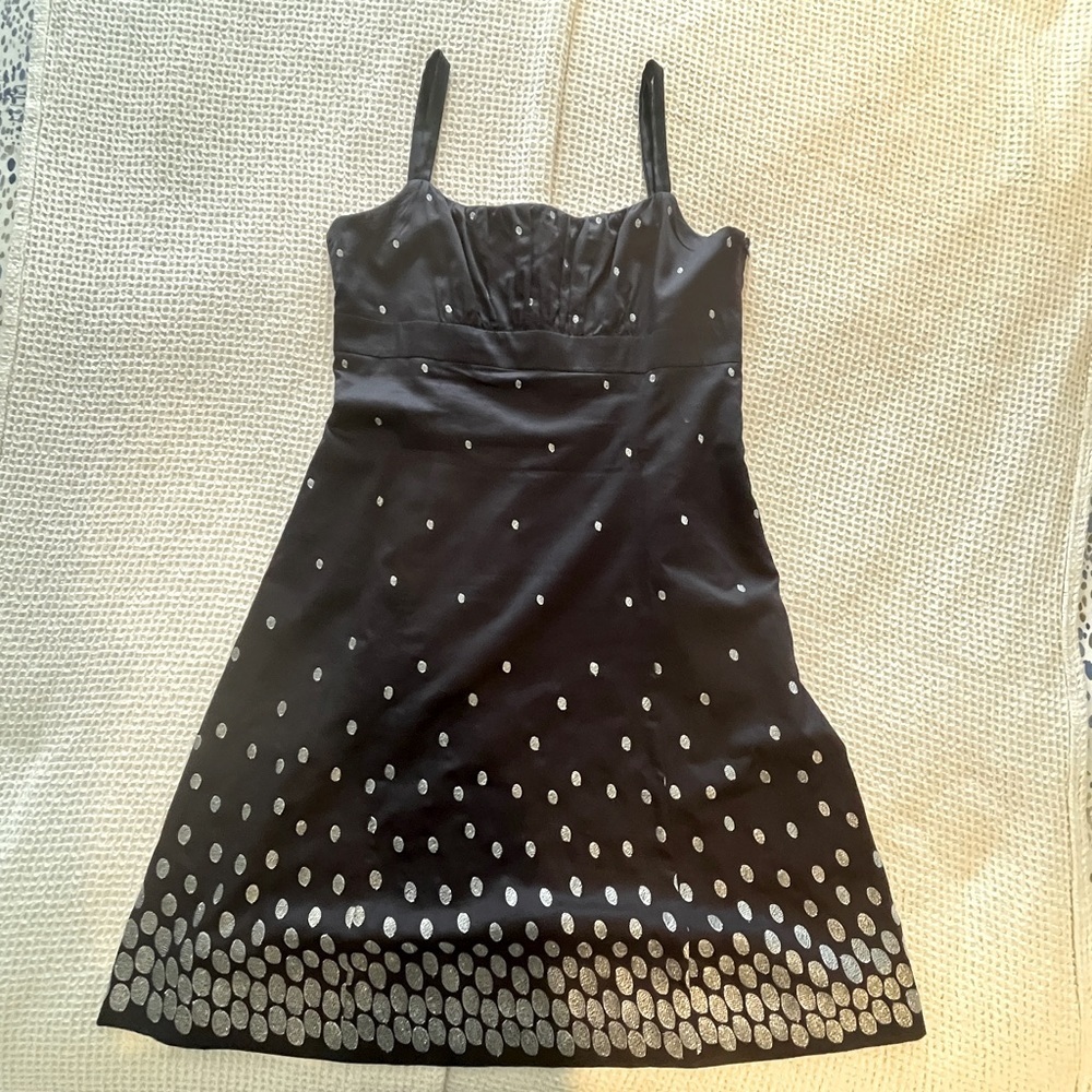 Ann Taylor Navy Blue Dress Silver Embroidery Size 14 Fully Lined!